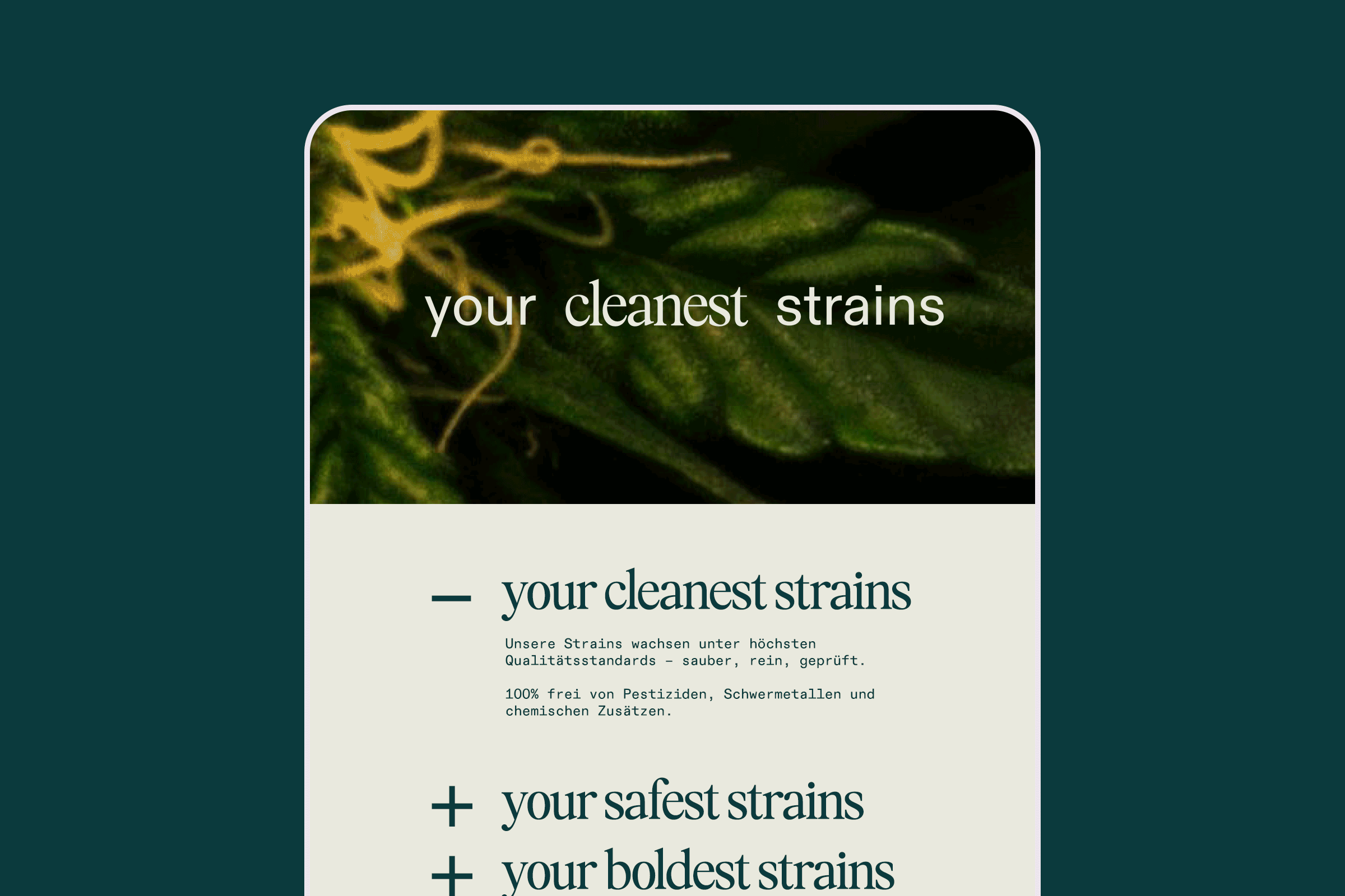 Cannamedical-Landing